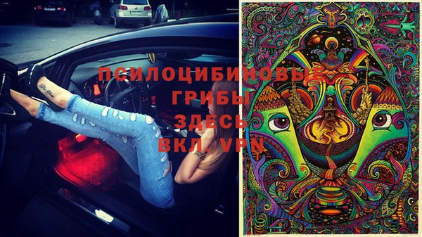 герыч Алексин