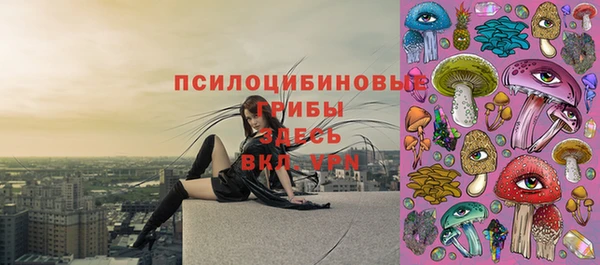 синтетический гашиш Алексеевка